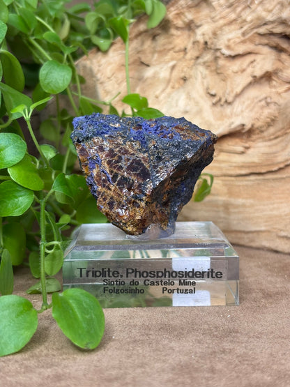 Triplite met Phosphosiderite