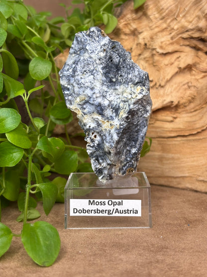 Moss Opal