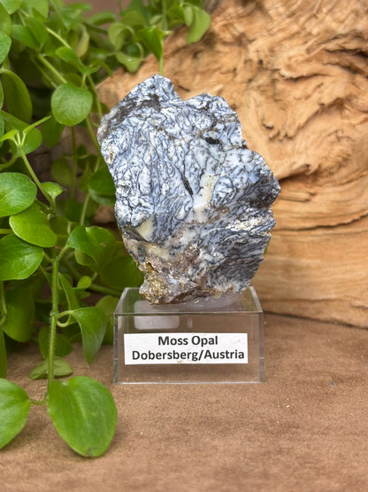 Moss Opal