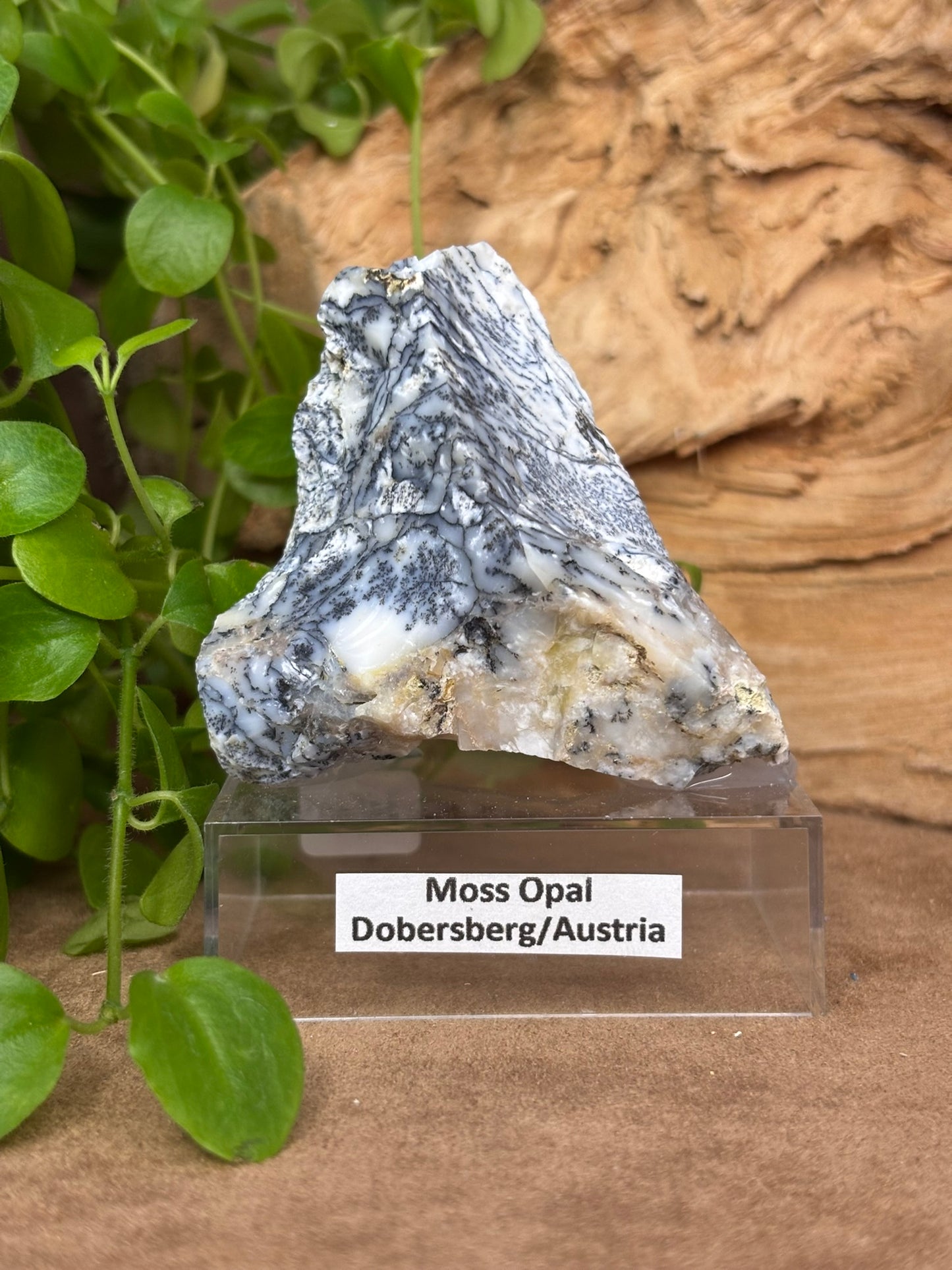 Moss Opal