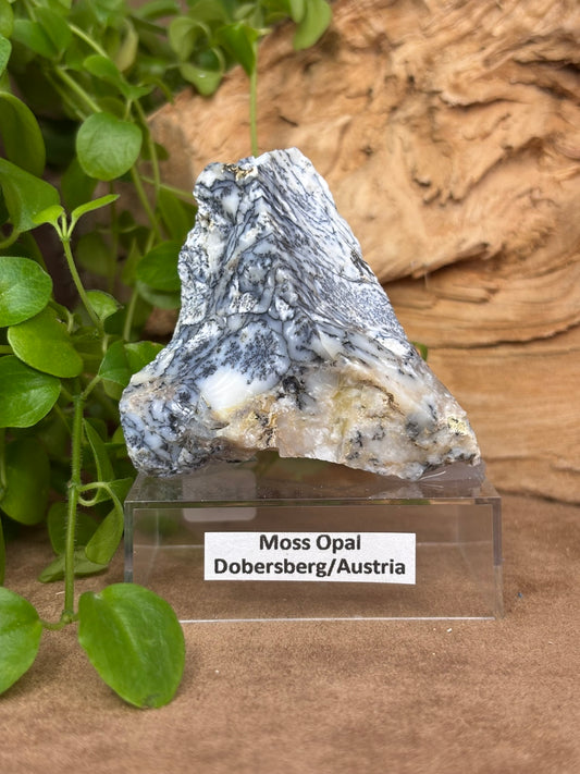Moss Opal