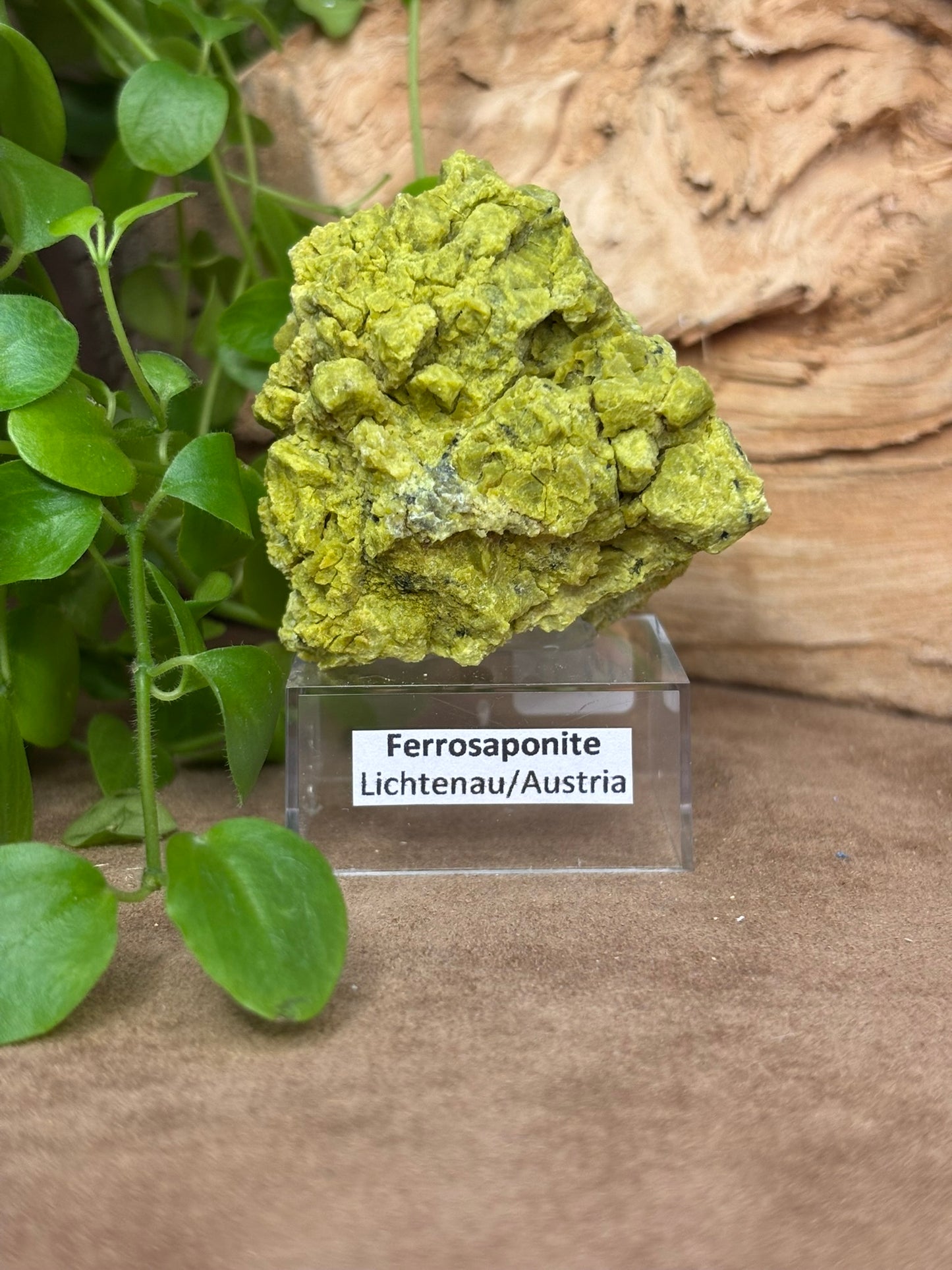 Ferrosaponite