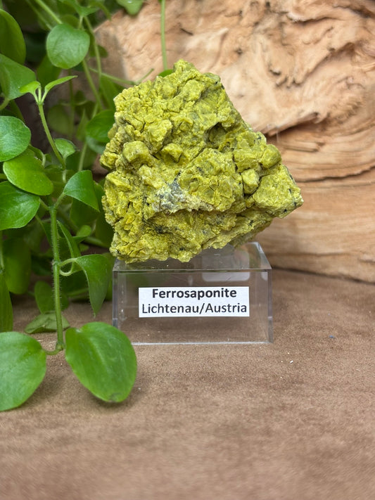 Ferrosaponite