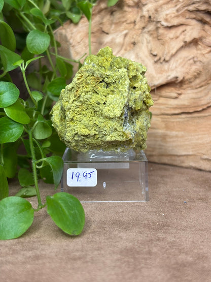 Ferrosaponite