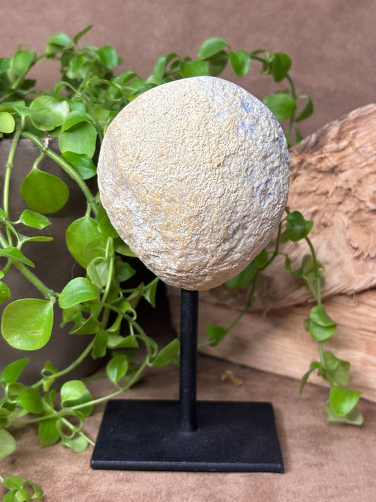 Agaat geode op standaard met kwarts kristallen