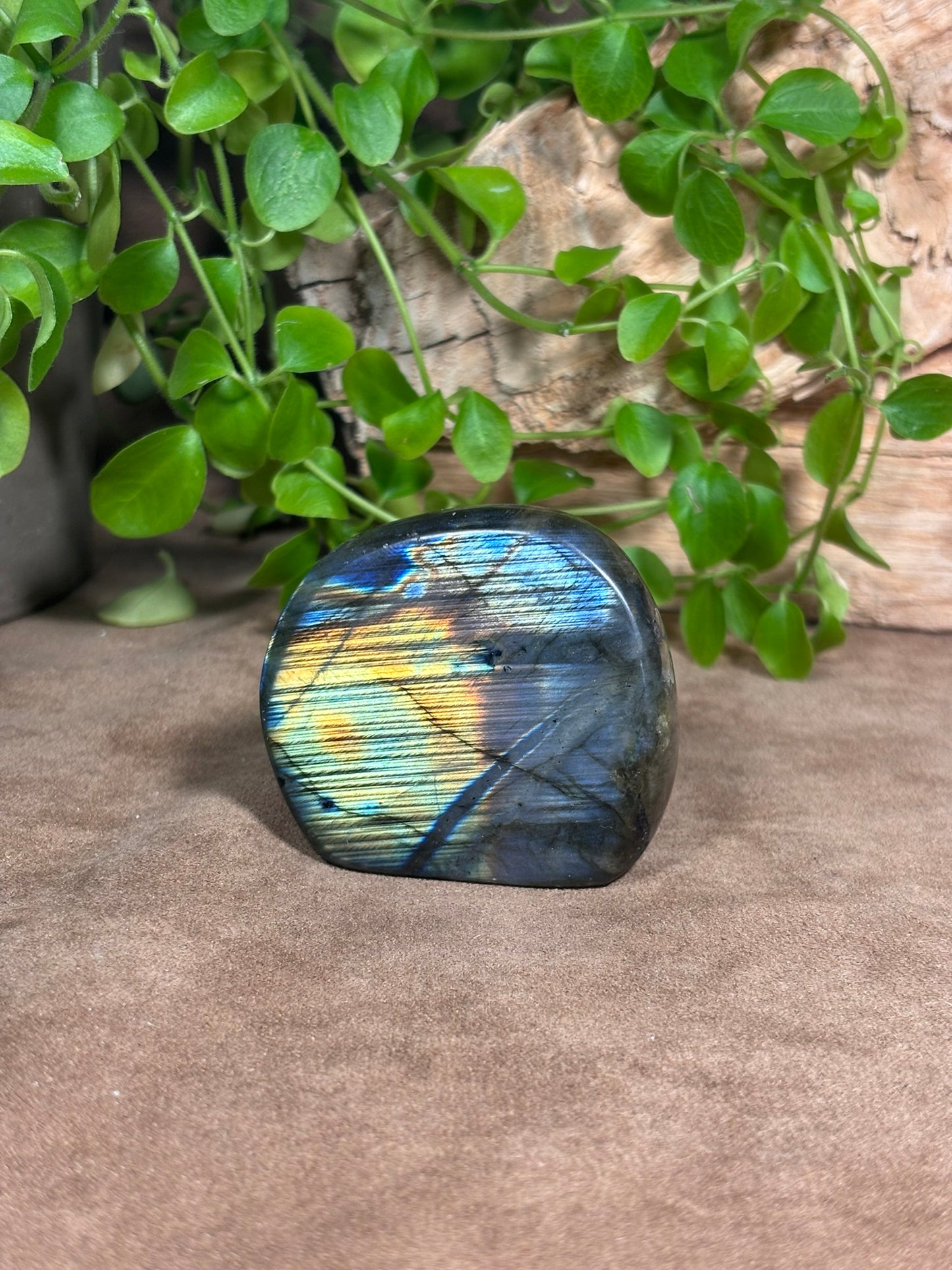 Labradoriet sculptuur – blauwe en gouden flash