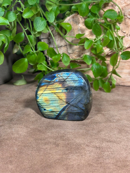 Labradoriet sculptuur – blauwe en gouden flash