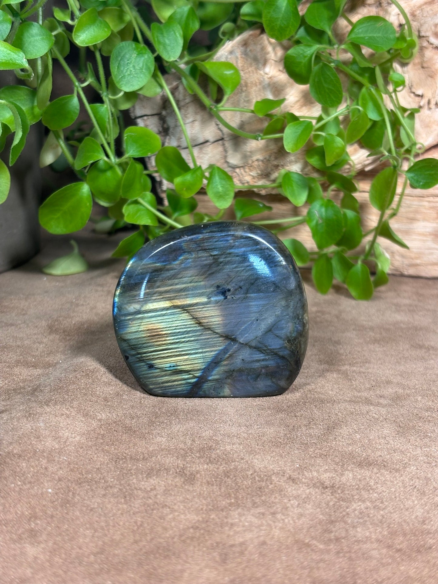 Labradoriet sculptuur – blauwe en gouden flash
