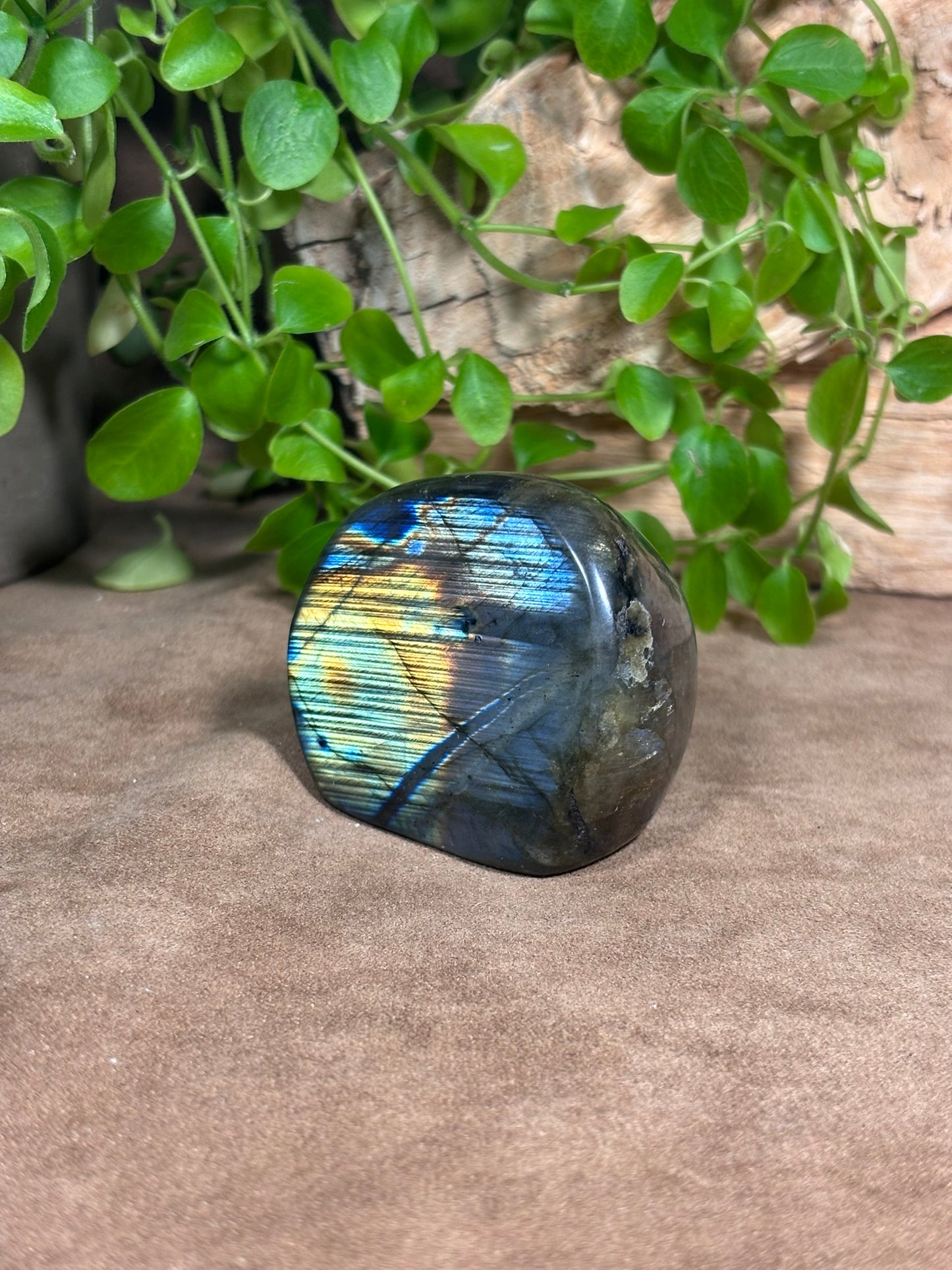 Labradoriet sculptuur – blauwe en gouden flash