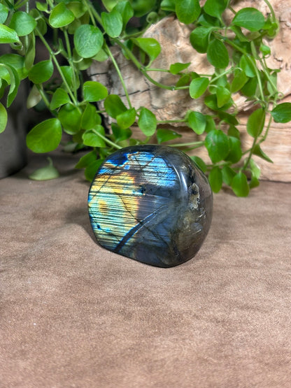Labradoriet sculptuur – blauwe en gouden flash