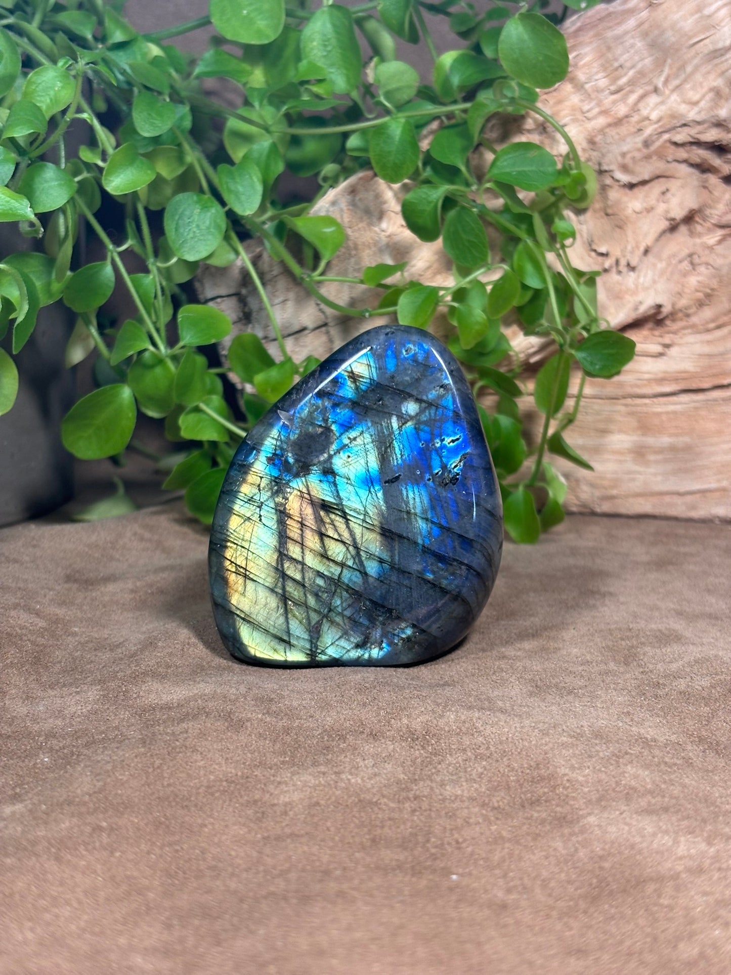 Labradoriet sculptuur – blauwe, groene en gouden flash