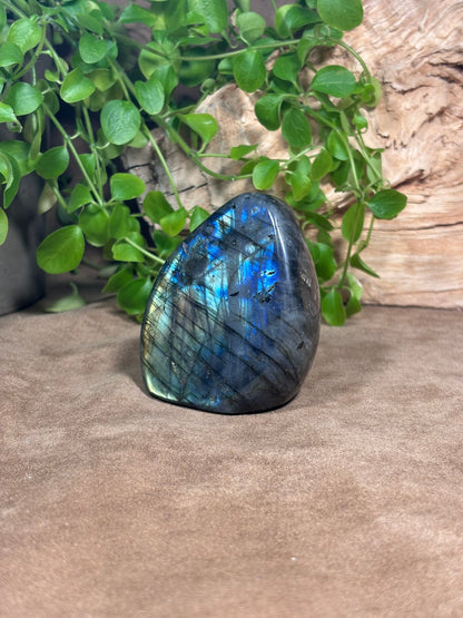 Labradoriet sculptuur – blauwe, groene en gouden flash