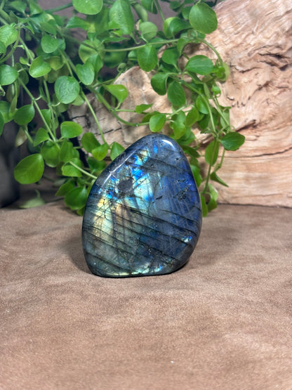 Labradoriet sculptuur – blauwe, groene en gouden flash
