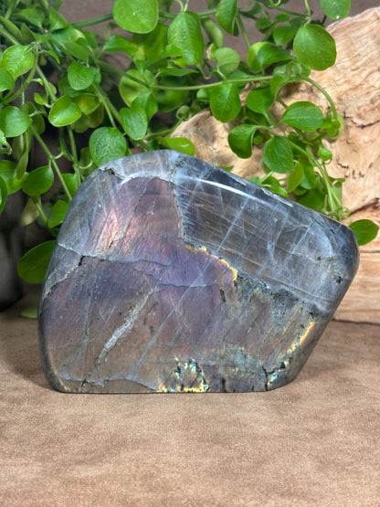 Labradoriet uit Madagaskar – 766 gram
