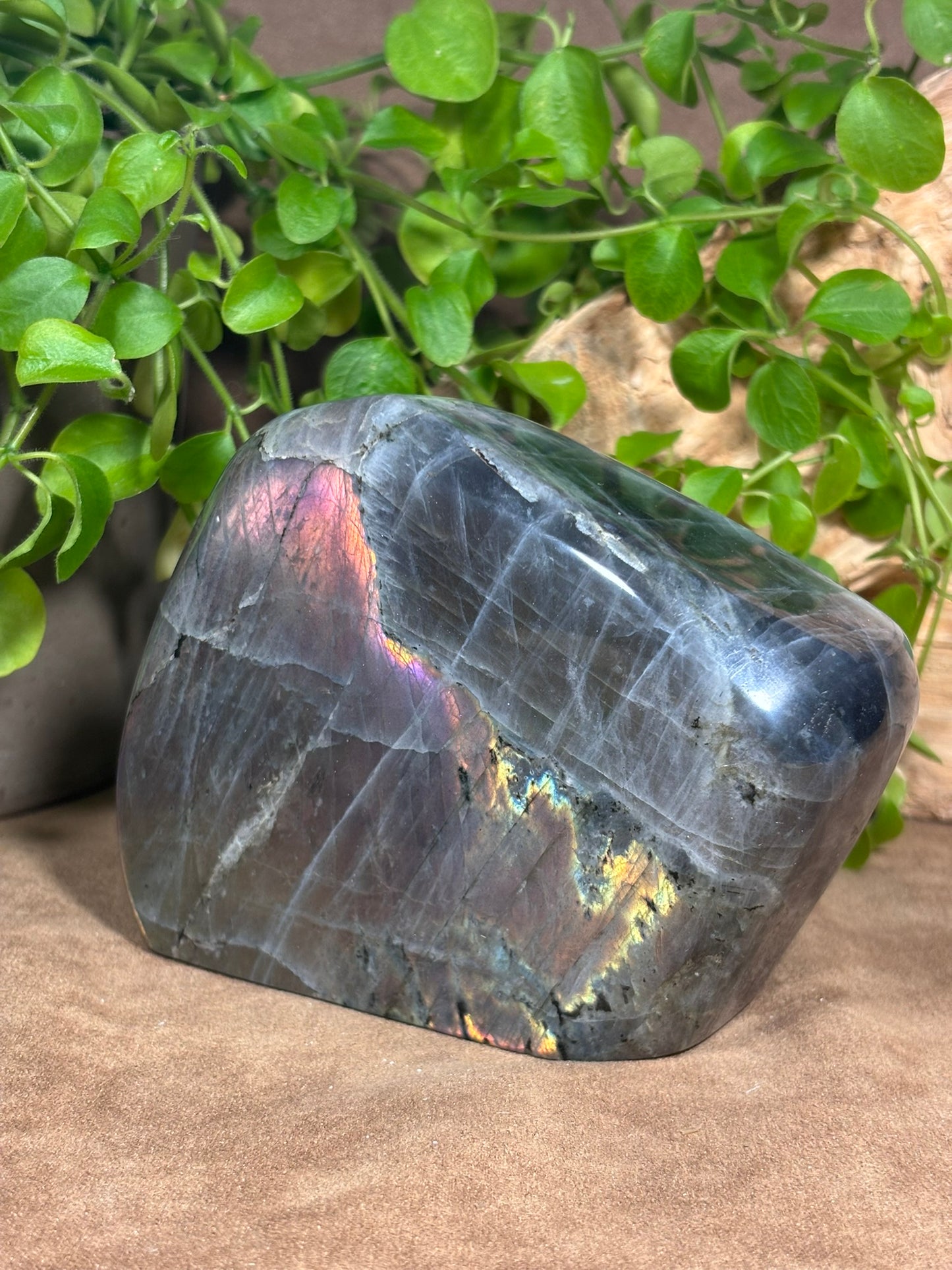 Labradoriet uit Madagaskar – 766 gram